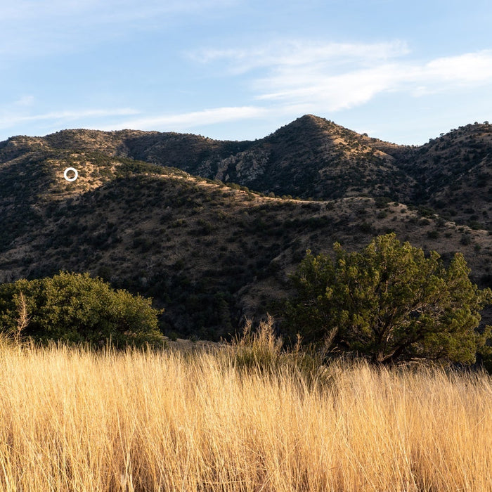 Find the Buck Location - WHM 2026 | Issue 3