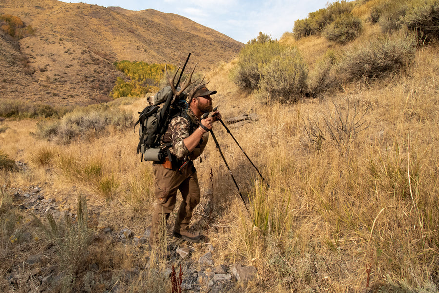 Hunting Packs : Internal frames vs external frames