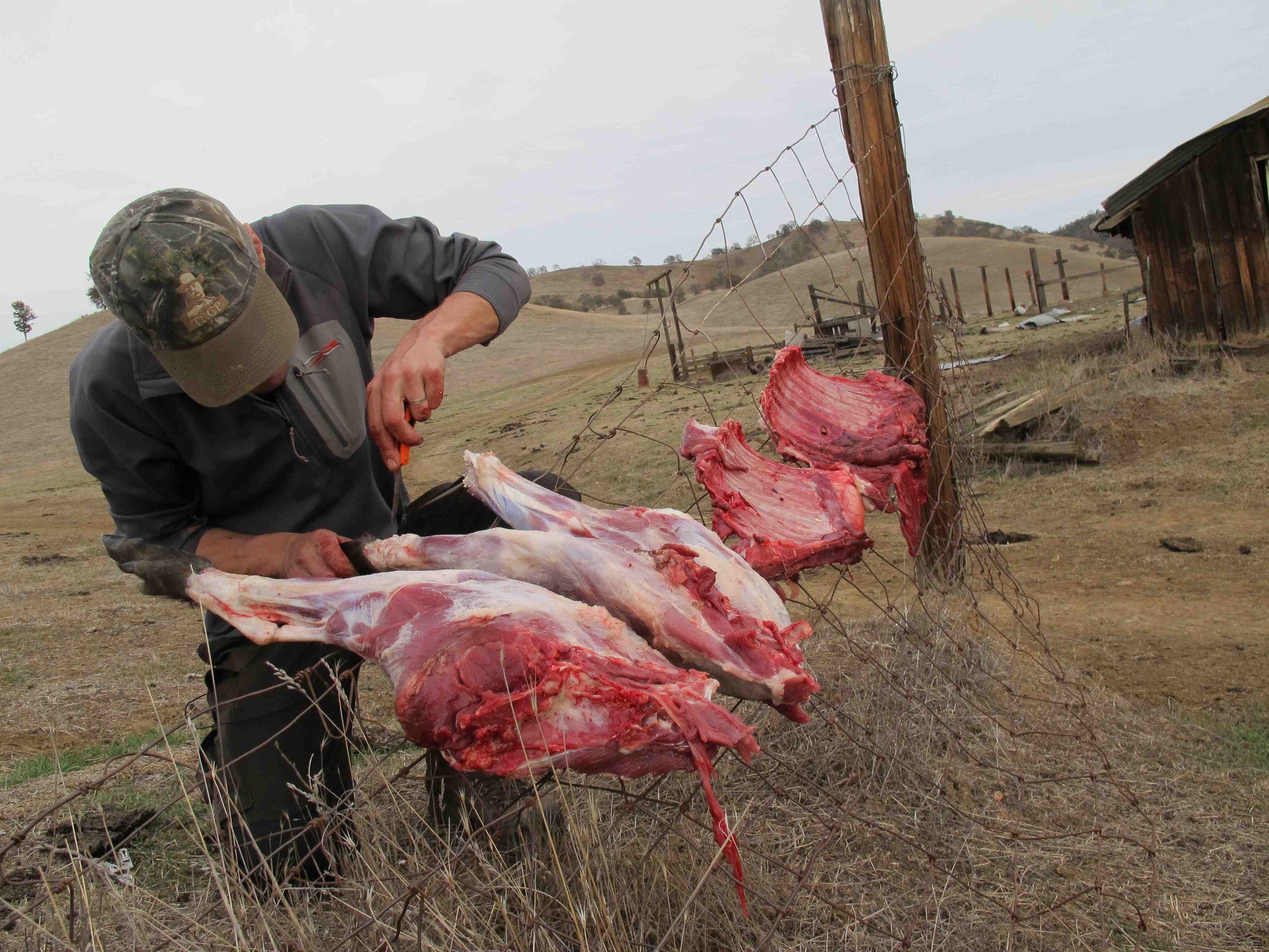 Backcountry Meat Care with Steven Rinella