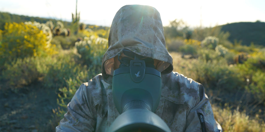 Swarovski BTX vs Traditional Spotting Scope
