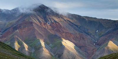 Spot the Sheep's Location