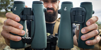 Swarovski ELs vs NLs - What's the Difference?