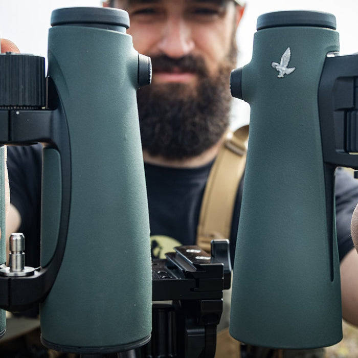 Swarovski ELs vs NLs - What's the Difference?