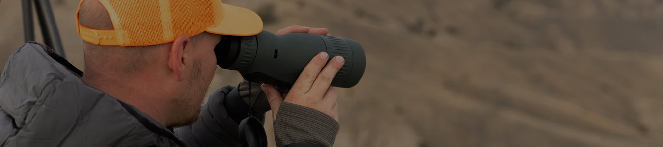 Swarovski Stabilized Spotting Scopes