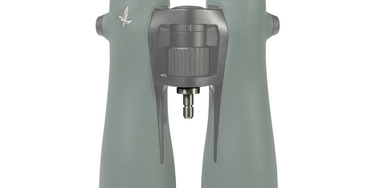 NL-52-Stud-